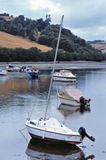 Dart River - South Devon