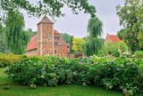 DSC_4435.jpg