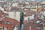 DSC_5176_01.jpg