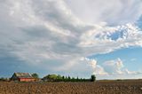 DSC_4328.jpg