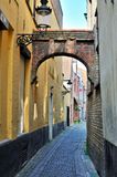 _DSC7311_01.jpg