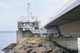 DSC_3141.jpg