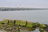 DSC_3173.jpg