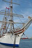 ACV_4420_01.jpg