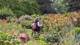 20250622_004454706 QE Park rose garden people.jpg