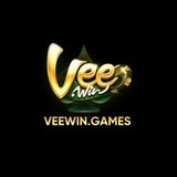 VEEWIN.GAMES - 500