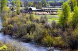 Ranch and the Chilcotin River