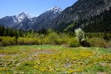 Cayoosh Range mountains