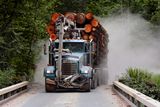 Logging Truck