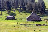 Barns