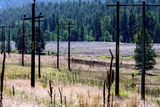 Electrical wiring