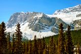Crowfoot Glacier