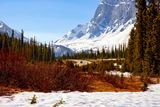 Icefields Parkway