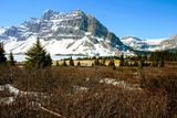 Bow Lake and Bow Glacier