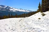 Trail to Peyto Lake viewpoint