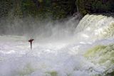Dawson Falls