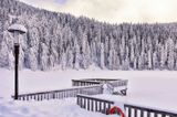 Mummelsee