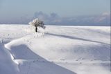 Schauinsland