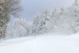 Blizzard