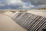 Dune carcass on the beach against drifting sand nuisance