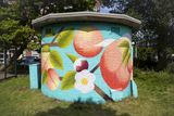 Colorful Apricots on an Electricity House