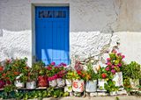 Floral decoration
