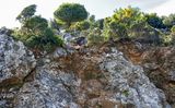 On the rocks