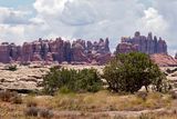 In the The Needles section of Canyonlands