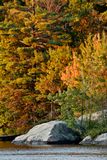 Fall colours