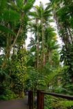 Hawaii Tropical Botanical Garden