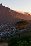 Table Mountain at dusk