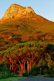 Lions Head, from Camps Bay