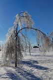 After the ice storm