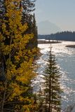 Athabasca River