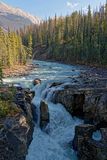 Sunwapta Falls