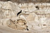 Hoodoos Trail