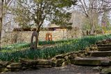 Garden Art