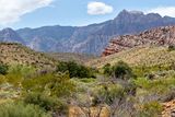 Calico Basin