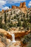 Mossy Cave Trail