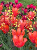 IMG_1504.jpg