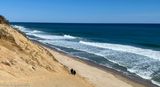 Beach, Cape Cod