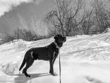 IMG_1290.jpg