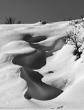 IMG_E1127-2.jpg