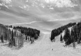 IMG_E1175-2.jpg