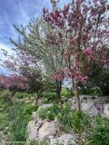 Yampa Botanical Park