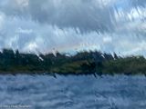 View from inside tour boat during rain