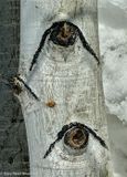IMG_E7449.jpg