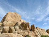 Joshua Tree park