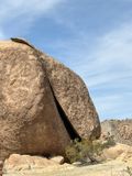 Joshua Tree park