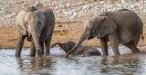 elephants getting wet